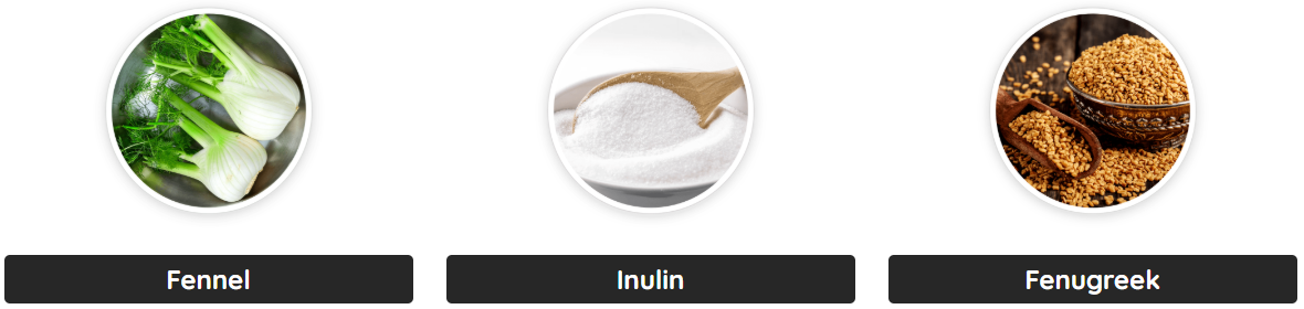 primebiome ingredients