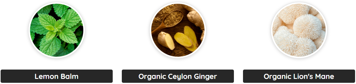 primebiome ingredients