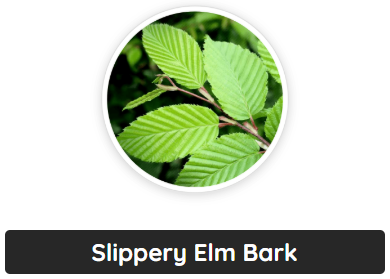 primebiome ingredients