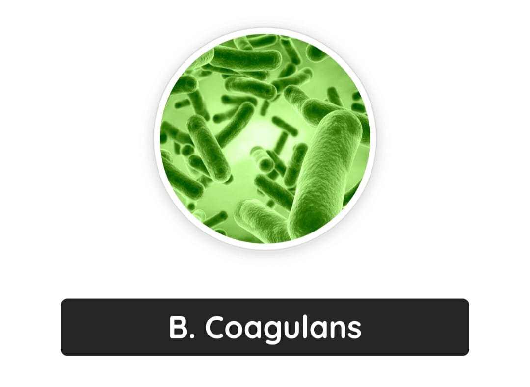 primebiome ingredients