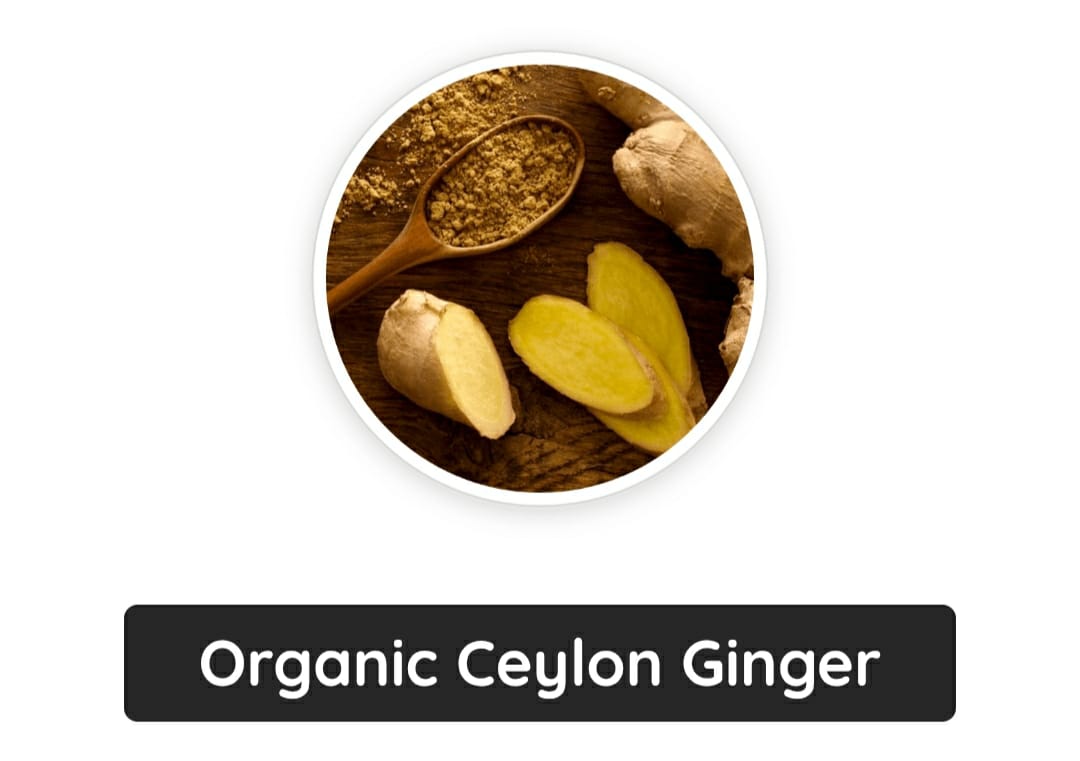 primebiome ingredients